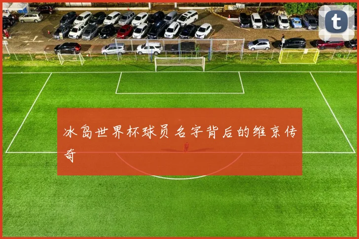 冰岛世界杯球员名字背后的维京传奇