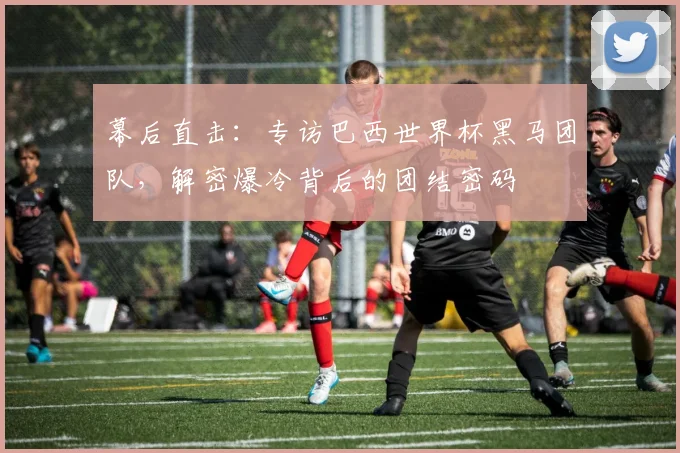 幕后直击：专访巴西世界杯黑马团队，解密爆冷背后的团结密码