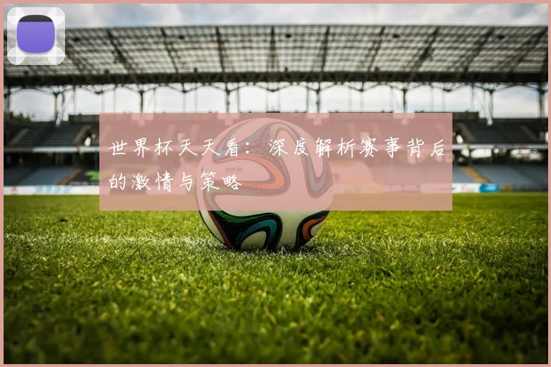 世界杯天天看：深度解析赛事背后的激情与策略